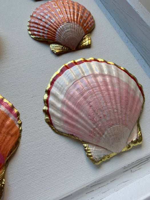 Pêche Rosée
